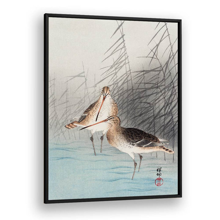 TWO BAR-TAILED GODWITS (1926)  , JAPANESE PAINTINGS , JAPANESE ART PRINTS