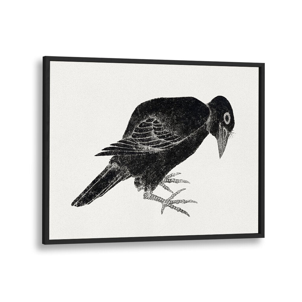 BIRD (1814)  , VINTAGE PAINTINGS