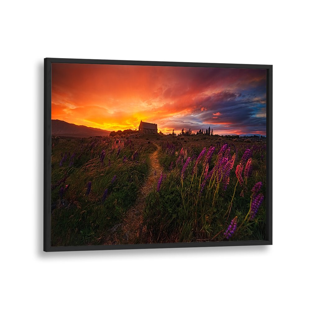 Stunning sunset over a path adorned with flowers, perfect for IN THE WIND, PHOTOGRAPHY PRINTS to enhance any space.