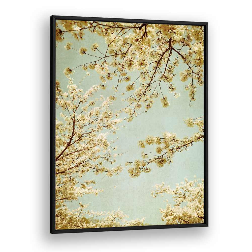VINTAGE SKY, FLORAL FLOWER PAINTINGS showcase enchanting cherry blossoms against a serene sky backdrop. Perfect for decor!
