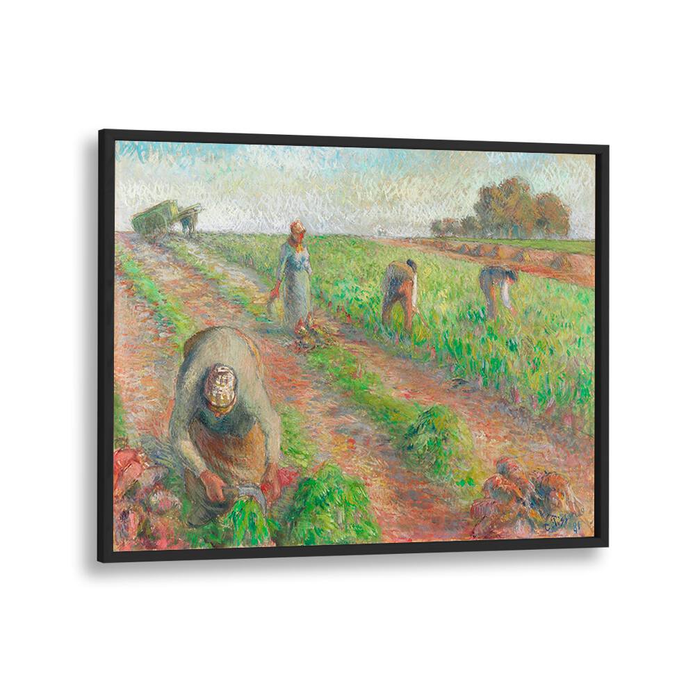 THE BEET HARVEST (1881)  , VINTAGE PAINTINGS