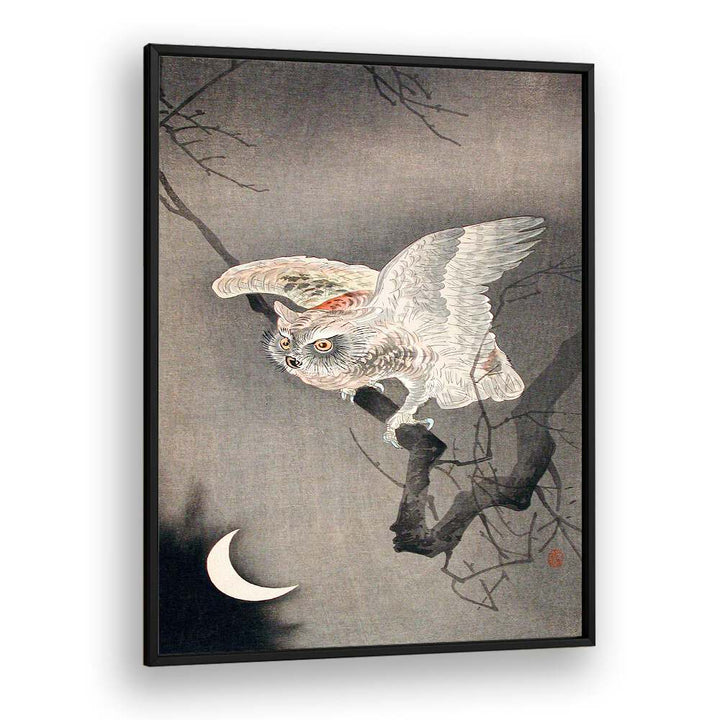 SCOPS OWL IN MOONLIGHT  , JAPANESE PAINTINGS , JAPANESE ART PRINTS