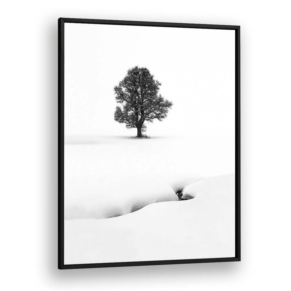 LE SOLITAIRE BY MARC PELISSIER , LANDSCAPE PHOTO PRINTS