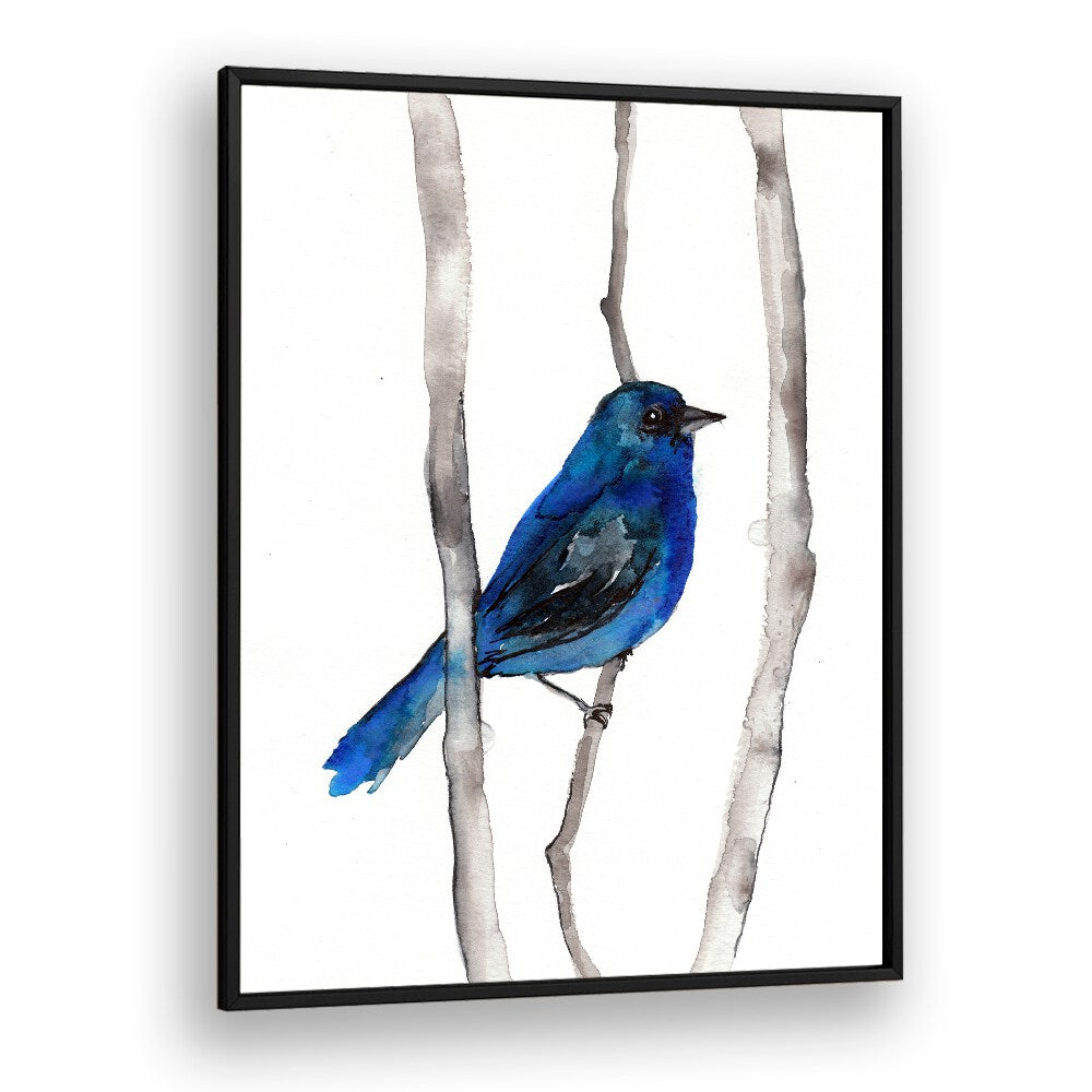 INDIGO BUNTING , ANIMAL PAINTINGS