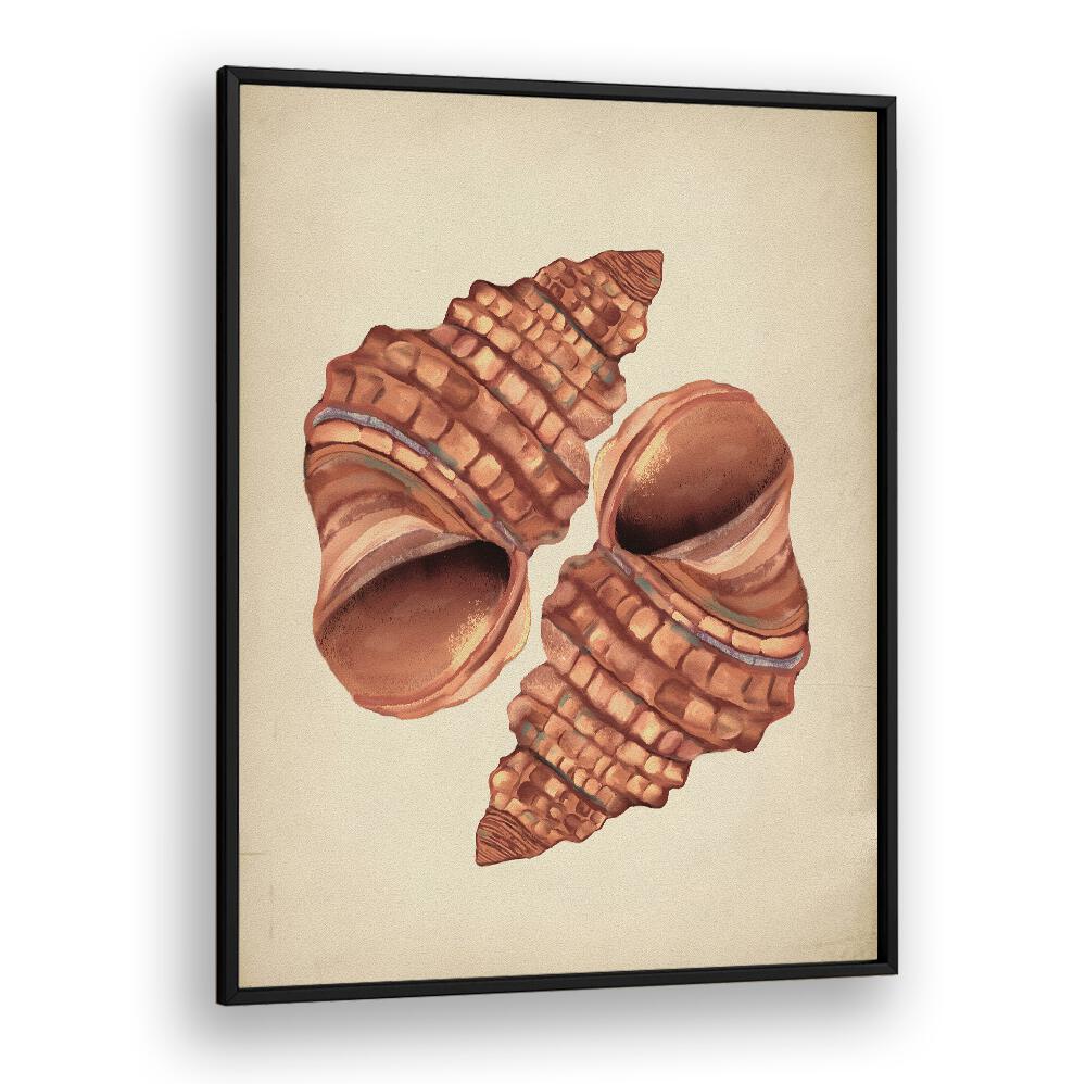 Seashell Vintage, Beach Paintings showcase elegant shell art, adding coastal charm to any décor. Perfect for ocean lovers.