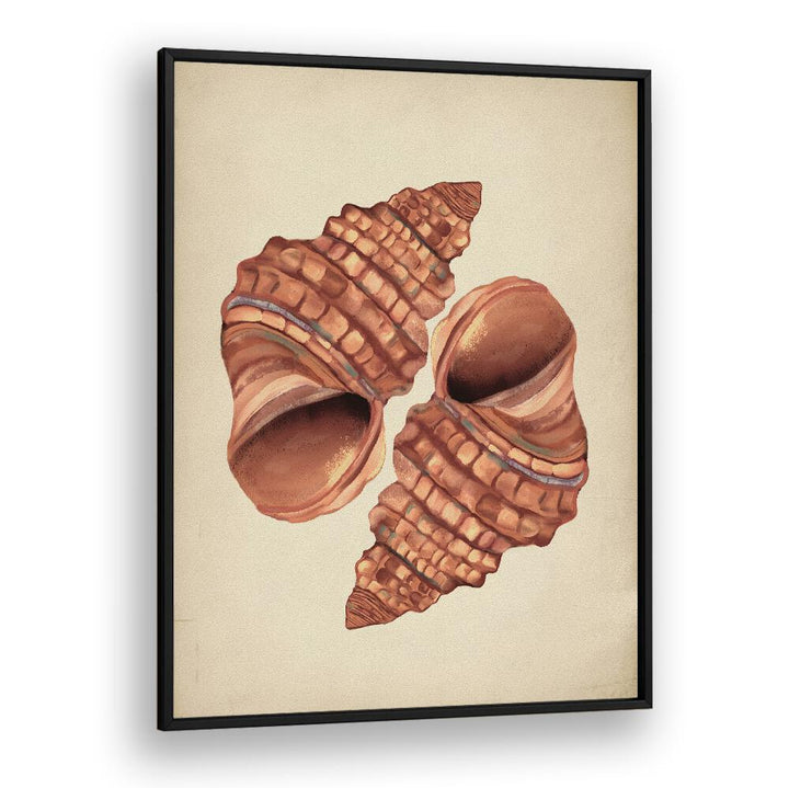 Seashell Vintage, Beach Paintings showcase elegant shell art, adding coastal charm to any décor. Perfect for ocean lovers.
