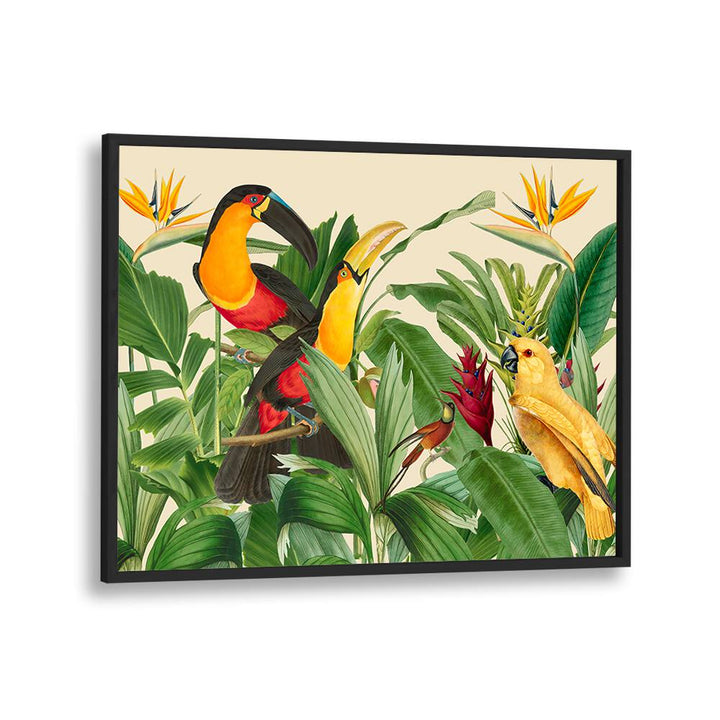 RAIN FOREST BIRD GARDEN BY ANDREA HAASE , WILDLIFE POSTERS, WILDLIFE PAINTINGS