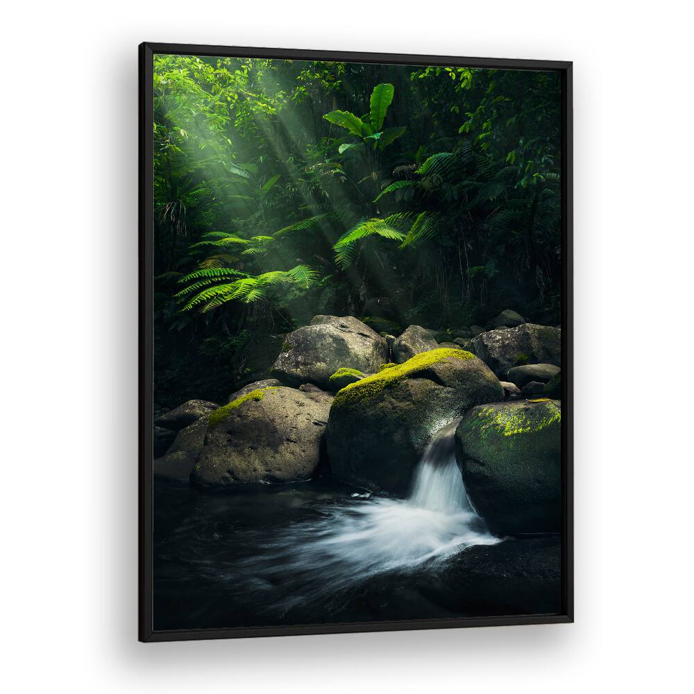 MYSTIC JUNGLE , LANDSCAPE PHOTO PRINTS , LANDSCAPE PHOTOGRAPHY