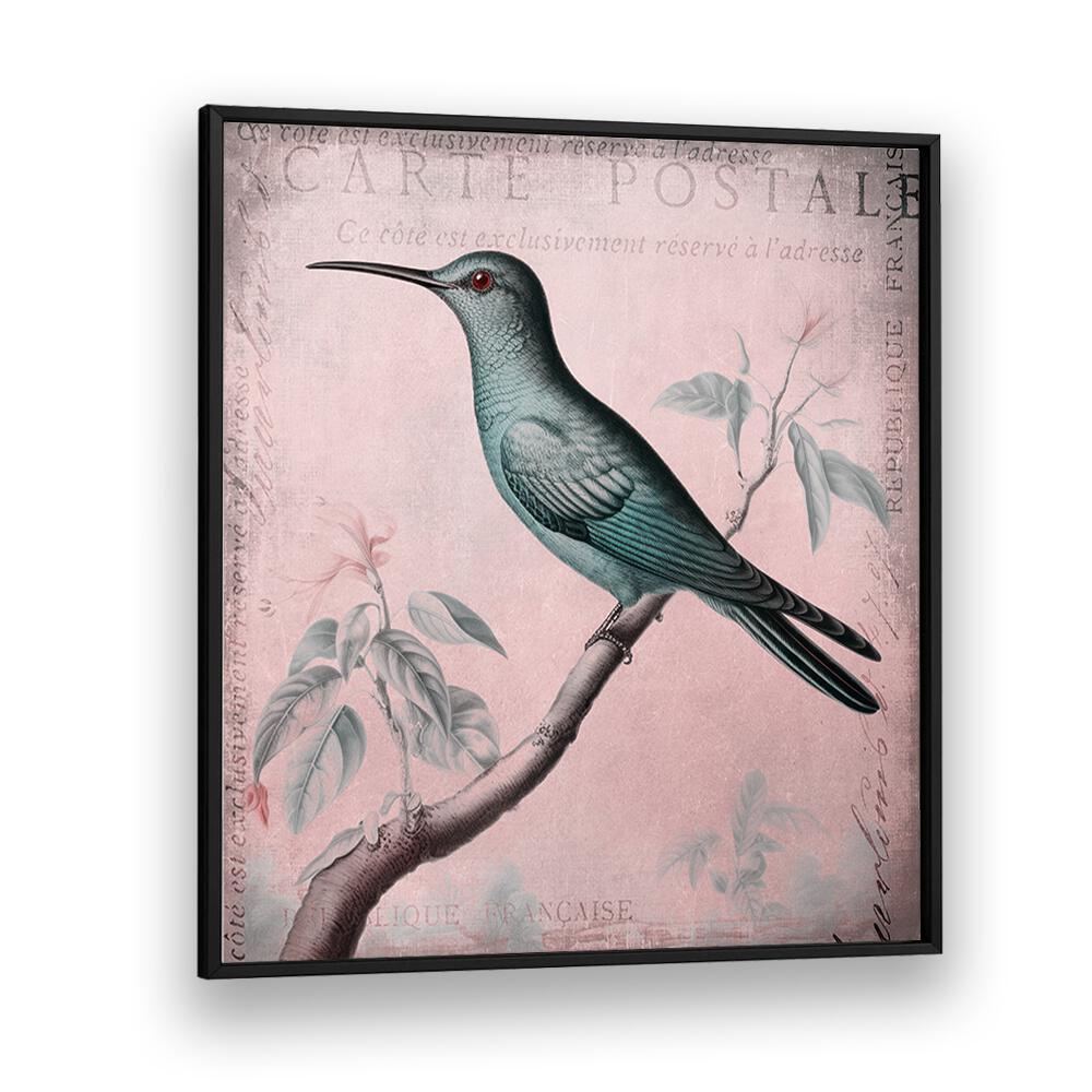 HUMMINGBIRD ROMANCE PASTEL PINK II BY ANDREA HAASE , WILDLIFE POSTERS, WILDLIFE PAINTINGS