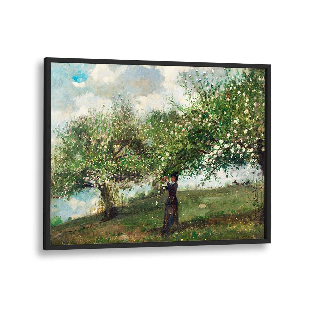 GIRL PICKING APPLE BLOSSOMS (1879) , VINTAGE PAINTINGS