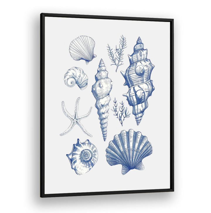 SHELL COLLAGE, BEACH PAINTINGS featuring elegant seashell designs, perfect for a coastal-themed decor.