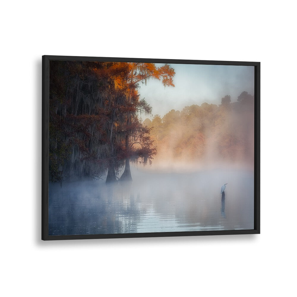 A TRANQUIL MORNING AT CADDO LAKE BY MICHAEL ZHENG , LANDSCAPE PHOTO PRINTS