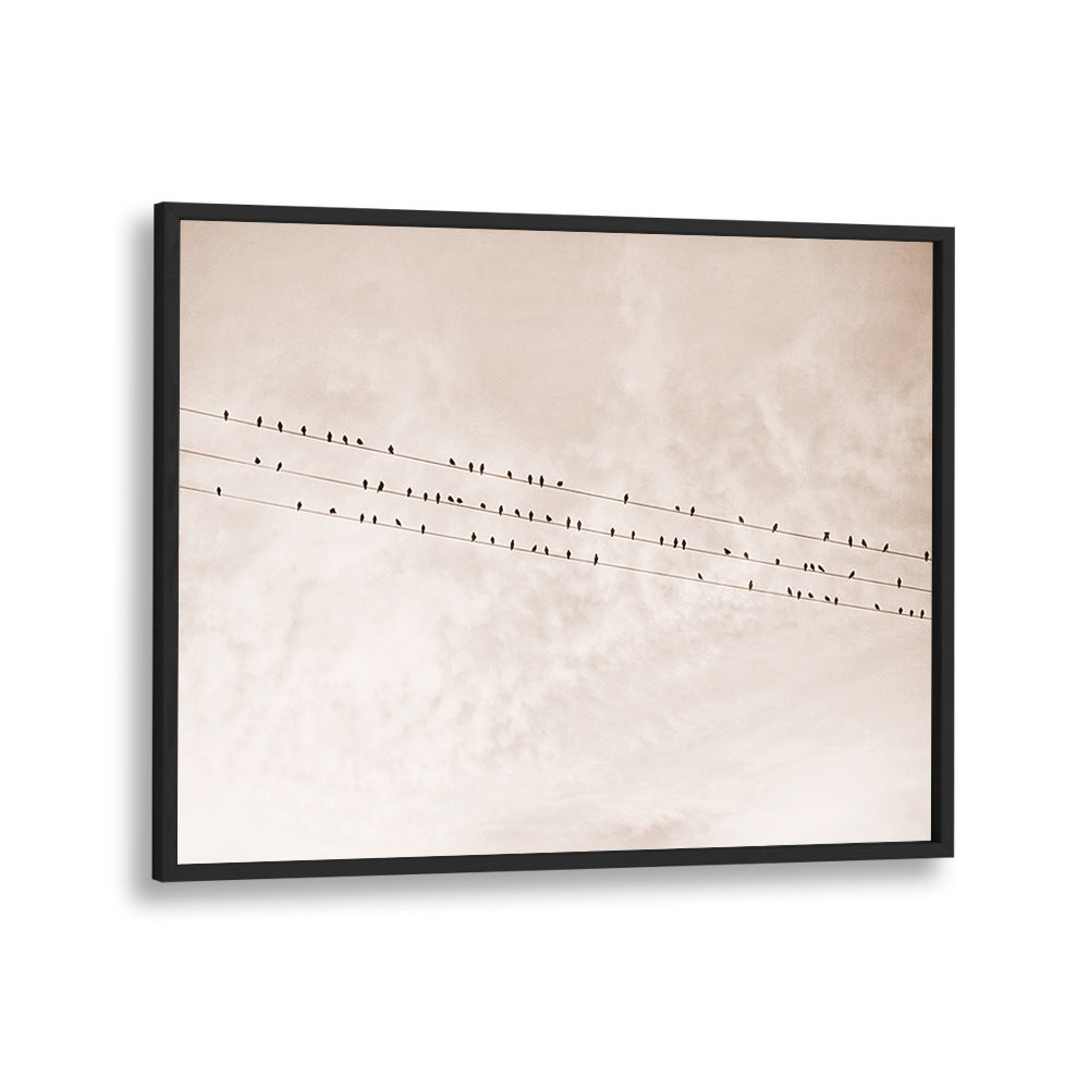 Elegant BIRDS ON A WIRE BEIGE, ANIMAL PAINTINGS showcasing beautiful silhouettes against a soft, neutral backdrop.