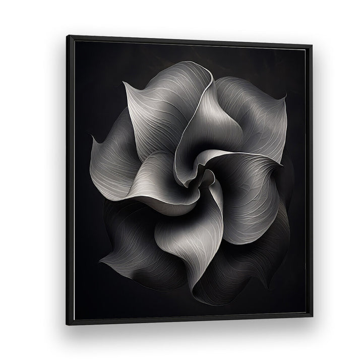 BLACK AND WHITE FLOWER V , ORGANIC FORMS
