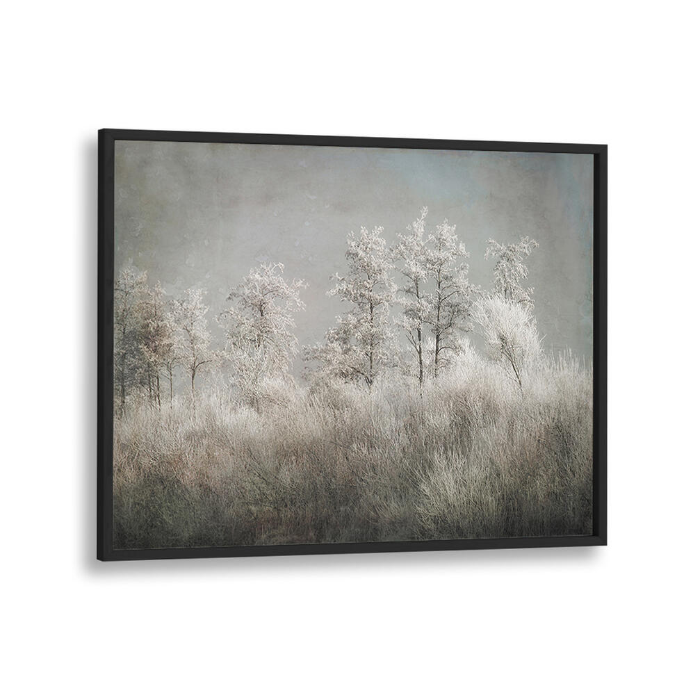 COLD MORNING , FLORAL FLOWER PAINTINGS