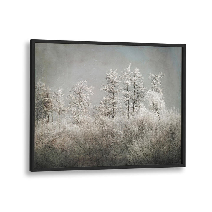 COLD MORNING , FLORAL FLOWER PAINTINGS