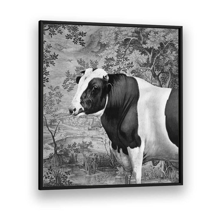 COW IN LANDSCAPE
