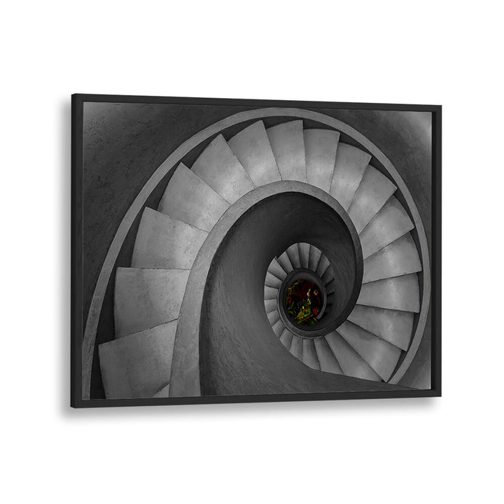 FLOWERS IN THE VORTEX