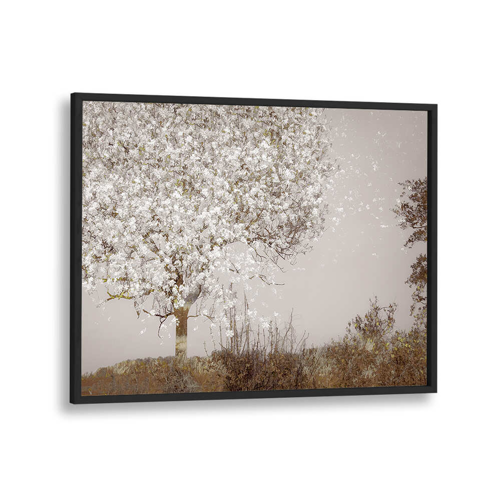 FRUIT TREE , FLORAL FLOWER PAINTINGS