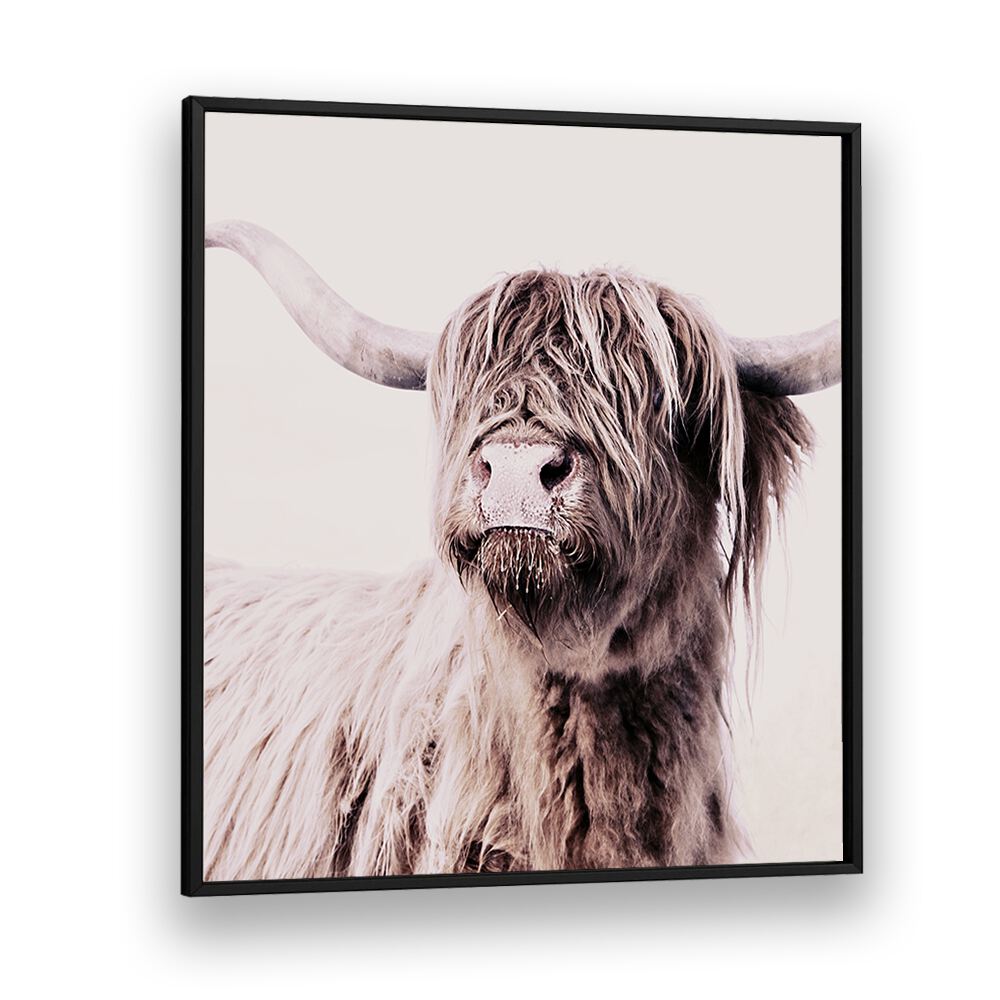 Stunning Highland Cattle, Animal Paintings capturing wildlife's essence—perfect for art lovers and home decor.