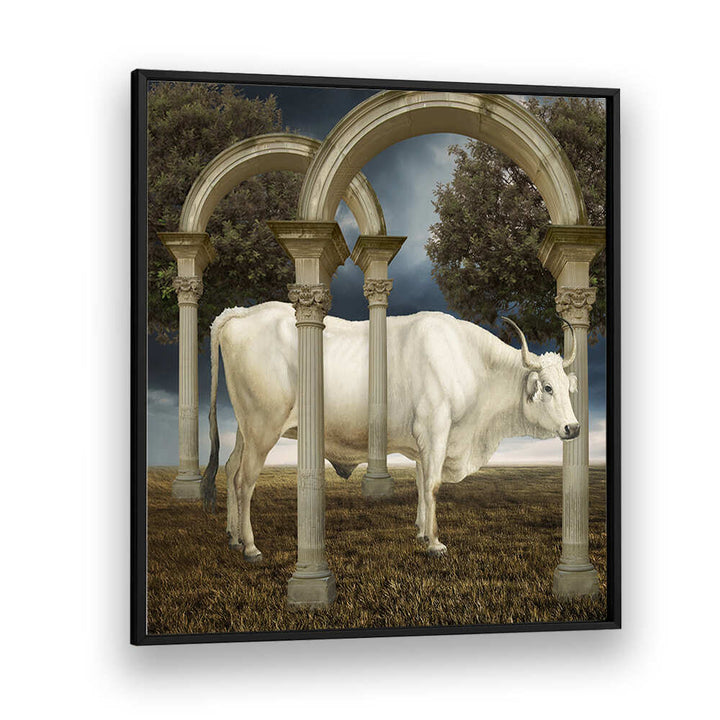 ILLUSIONNISME DE LA VACHE