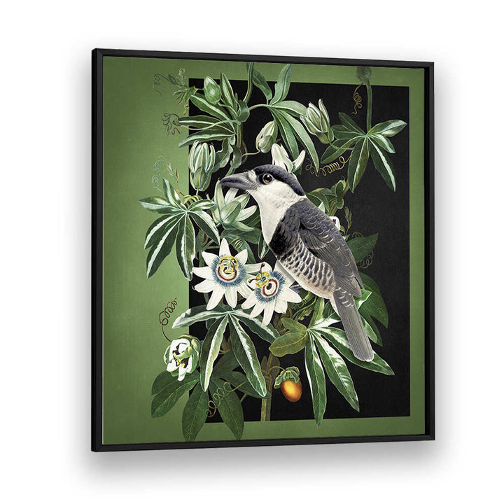 L'OISEAU ET LA PASSIFLORE