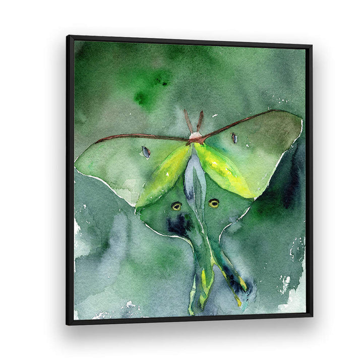 LUNA MOTH , ANIMAL PAINTINGS