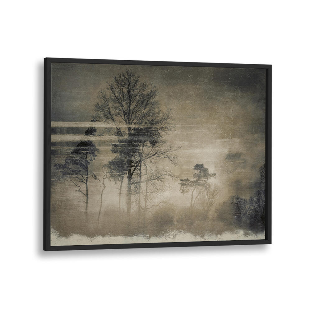 OLD POSTCARD , FLORAL FLOWER PAINTINGS