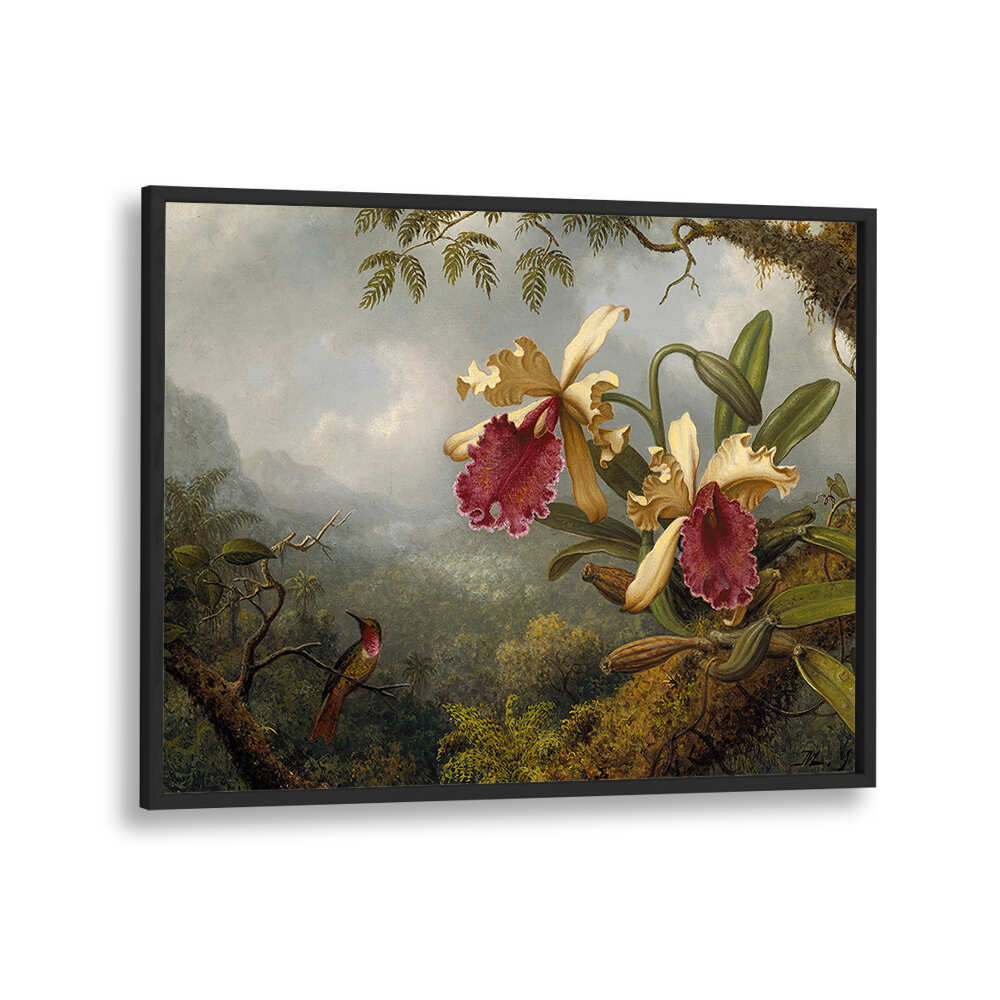 ORCHIDS AND HUMMINGBIRD , FLORAL FLOWER PAINTINGS