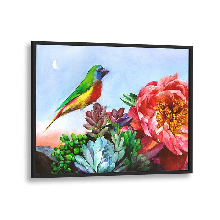 PARROT FINCH , ANIMAL PAINTINGS