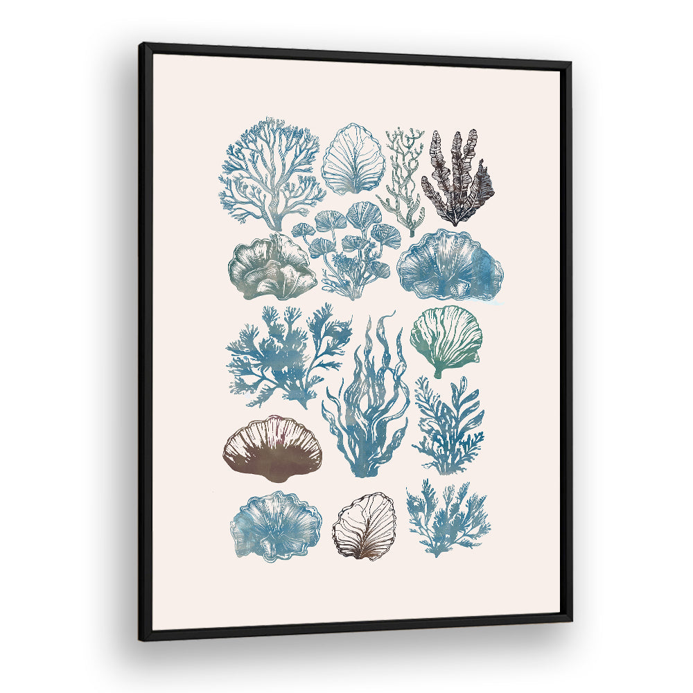 Stunning wall art featuring A CORAL COLLECTION, BEACH PAINTINGS, perfect for beach-themed decor.