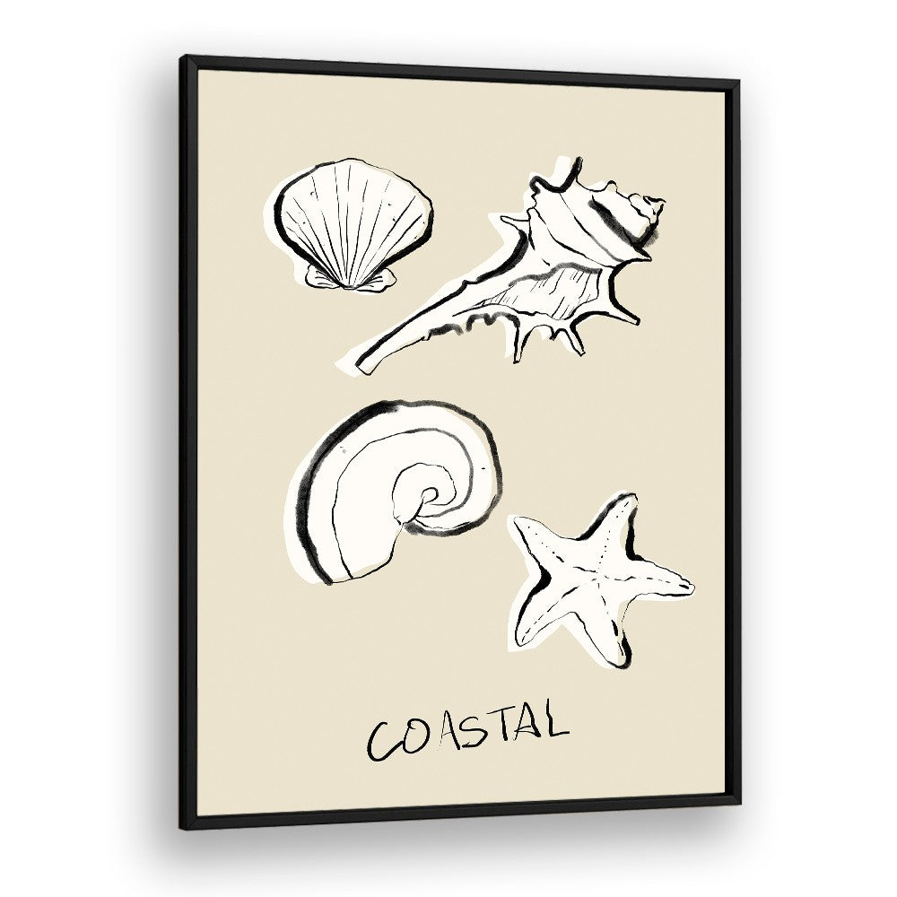 COASTAL SHELLS AND STARFISH