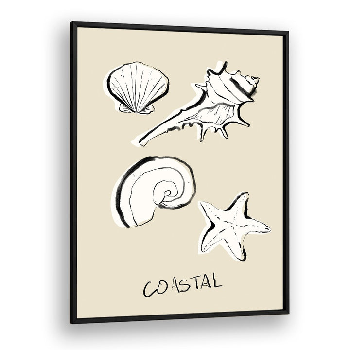 COASTAL SHELLS AND STARFISH