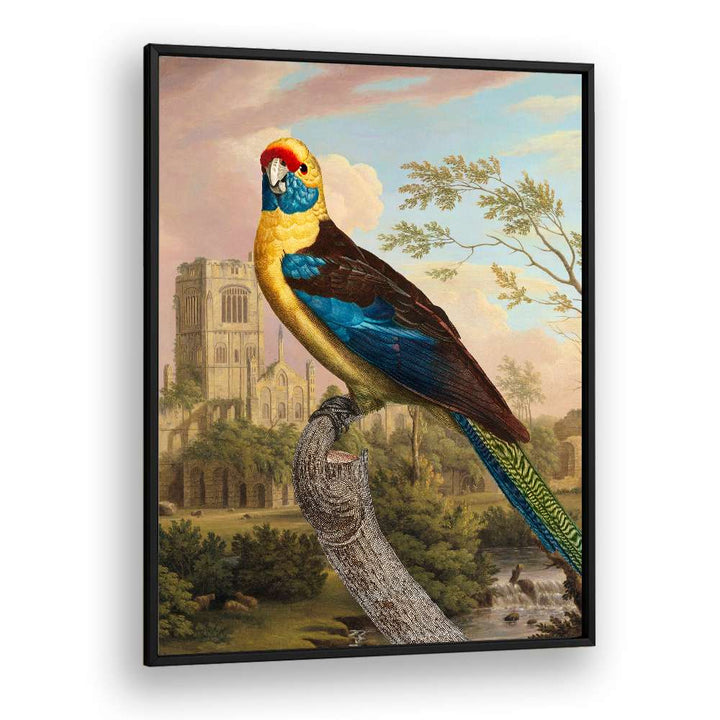 COLORFUL PARROT RUINS
