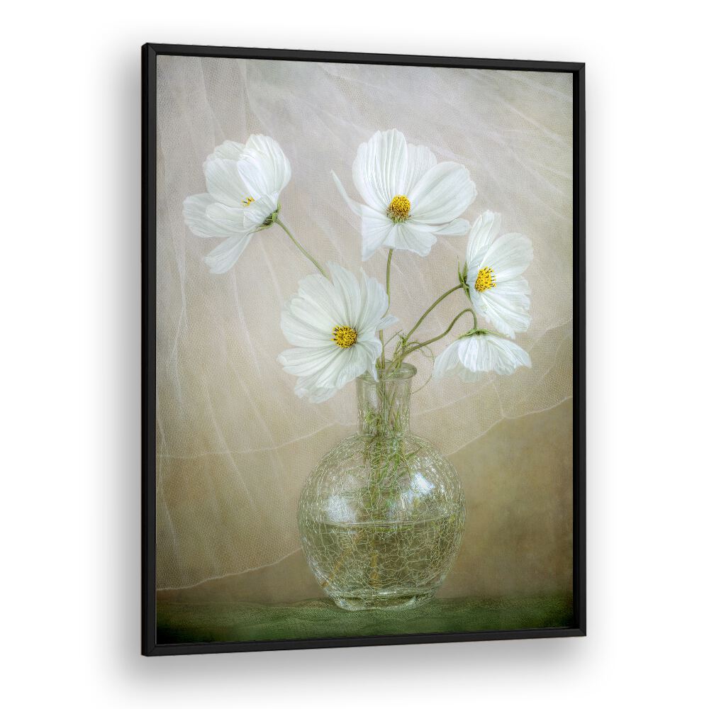 Elegant COSMOS BREEZE, FLORAL FLOWER PAINTINGS featuring delicate white flowers in a stylish glass vase for vibrant decor.