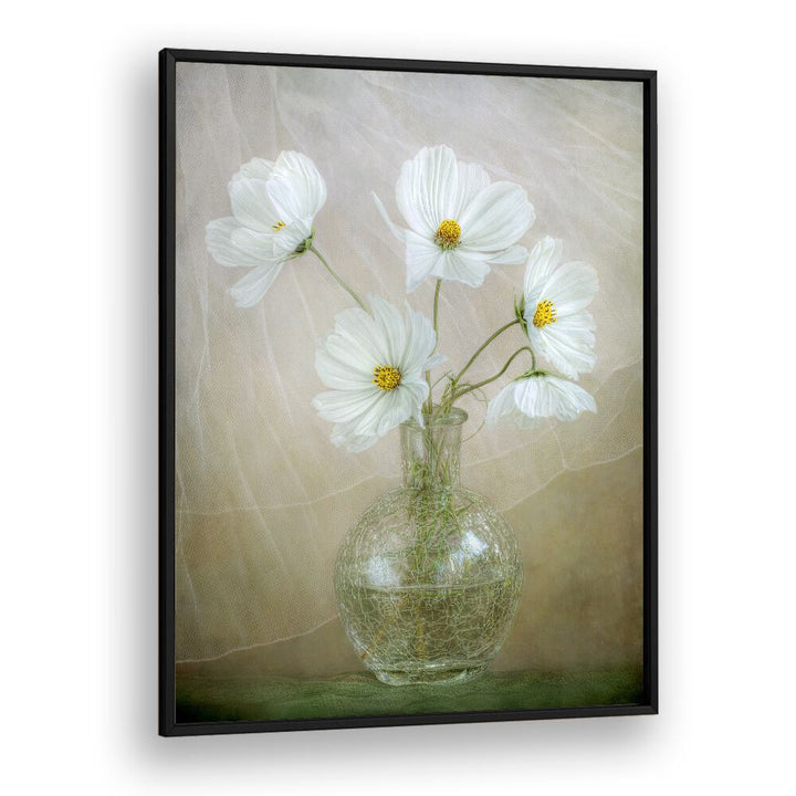Elegant COSMOS BREEZE, FLORAL FLOWER PAINTINGS featuring delicate white flowers in a stylish glass vase for vibrant decor.