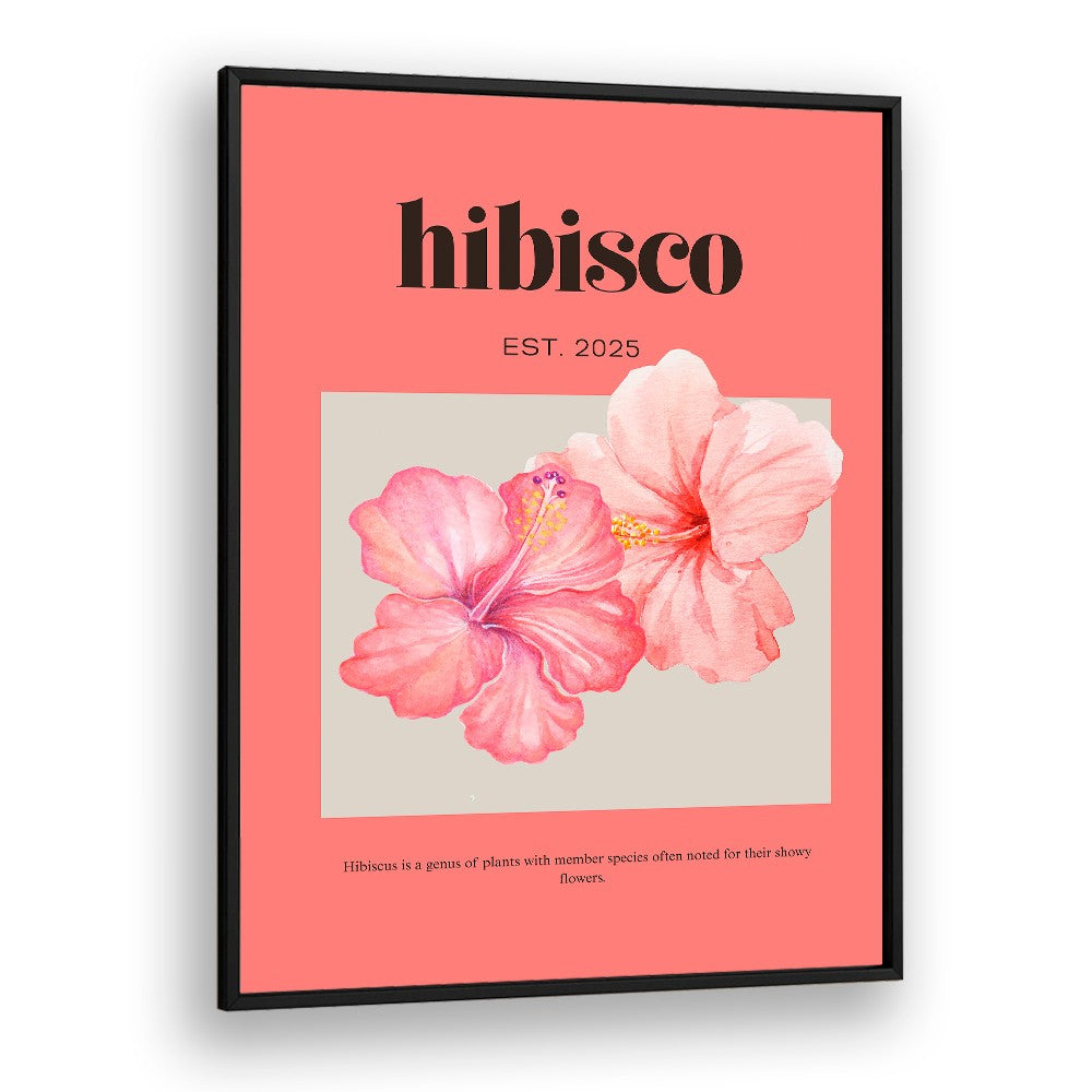 DELICATE PINK HIBISCUS