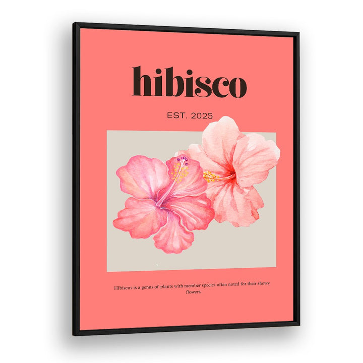 DELICATE PINK HIBISCUS