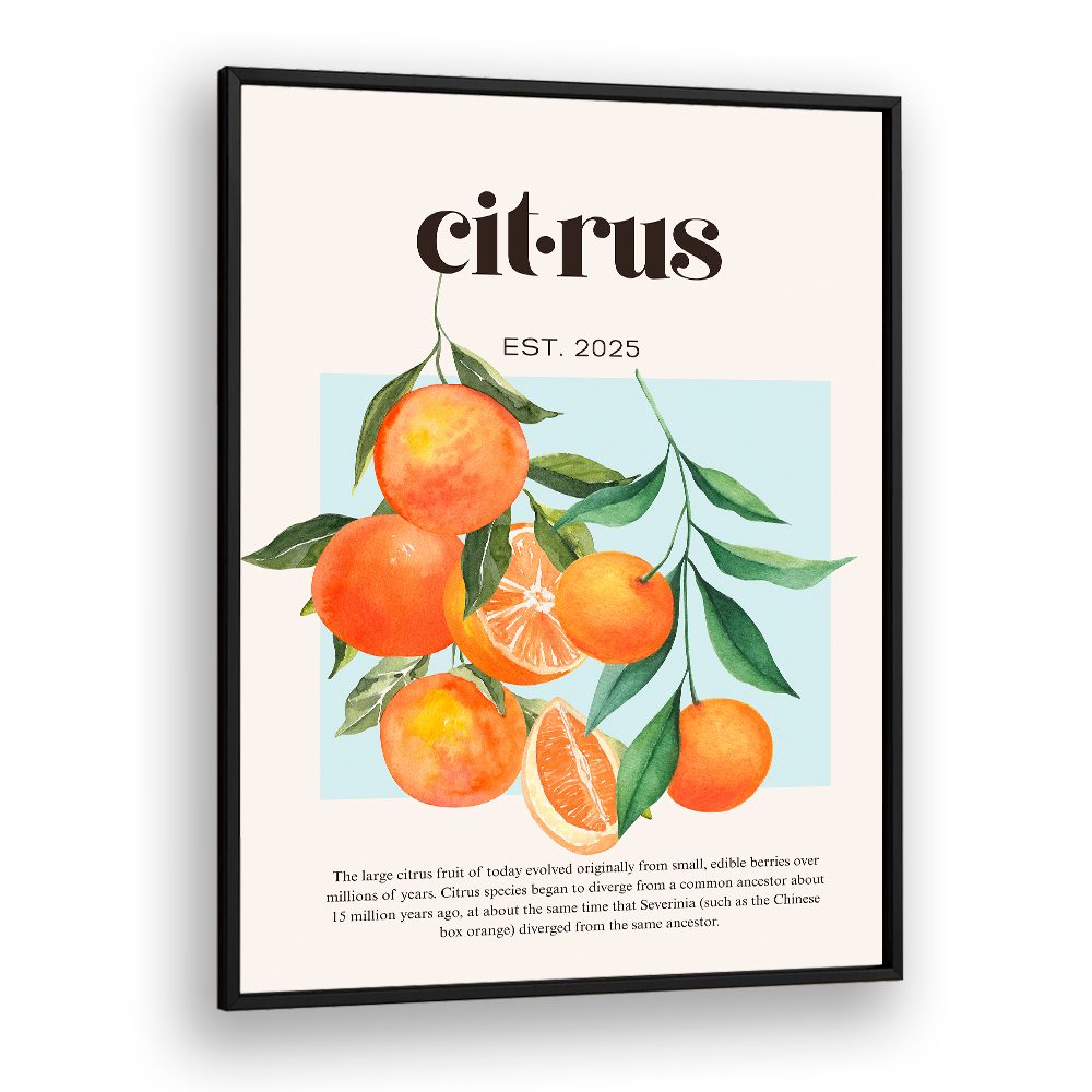 FRESH WATERCOLOR CITRUS
