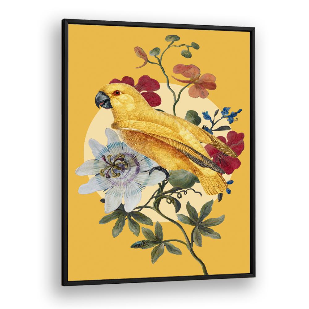 GOLDEN PARROT PASSION FLOWER