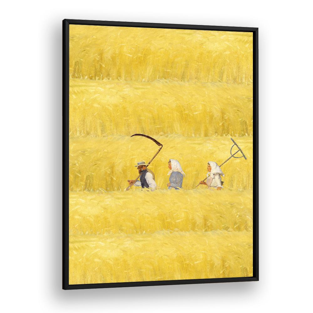 HARVESTING THE GOLDEN FIELD