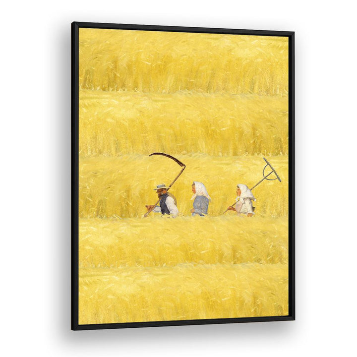HARVESTING THE GOLDEN FIELD