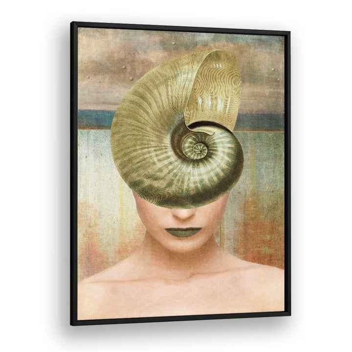 NAUTILUS SHELL PORTRAIT
