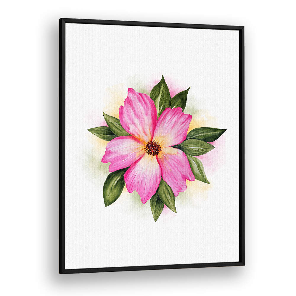 PAEONIA SUFFRUTICOSA , FLORAL FLOWER PAINTINGS