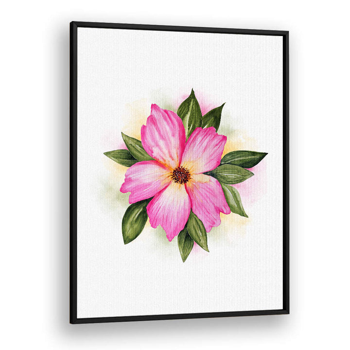 PAEONIA SUFFRUTICOSA , FLORAL FLOWER PAINTINGS