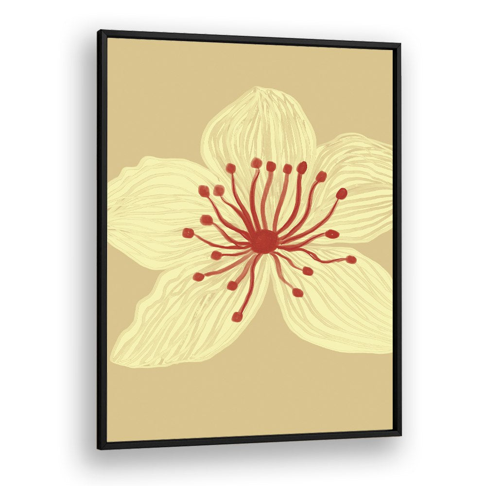 SOFT CREAM BLOSSOM