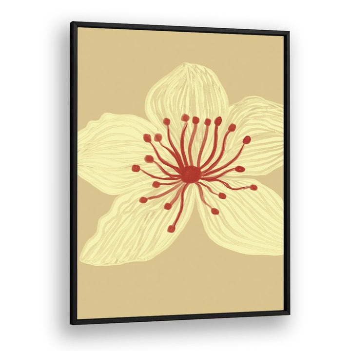 SOFT CREAM BLOSSOM