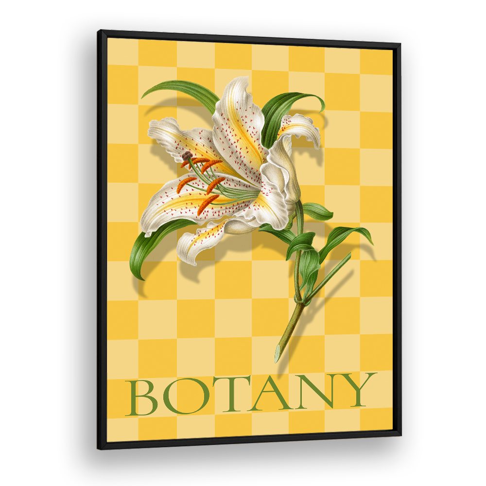 SPOTTED LILY BOTANICAL