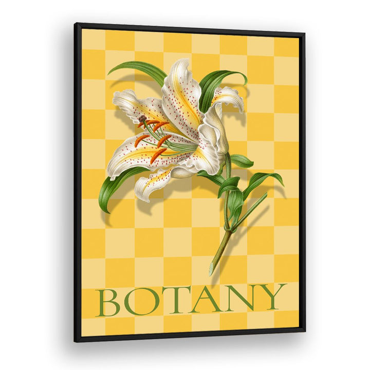SPOTTED LILY BOTANICAL