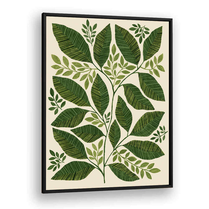 STRIPED LEAVES BRANCH